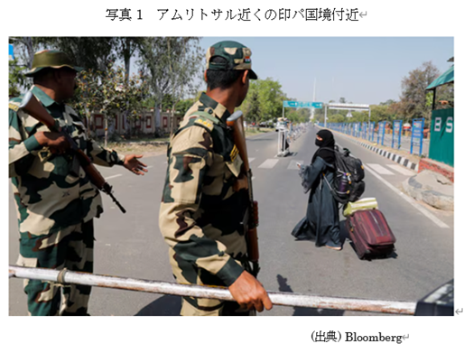  �ʐ^1�@�A�����g�T���߂��̈�p�����t�� 